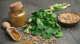 فواید دمنوش گشنیز در طب سنتی