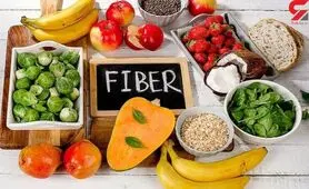 کدام نوع فیبر برای شما بهتر است؟ 