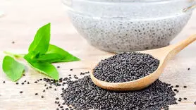 تخم شربتی یا تخم ریحان مناسب ترین انتخاب برای افطاری و سحری