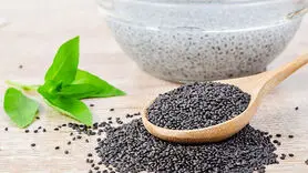 تخم شربتی یا تخم ریحان مناسب ترین انتخاب برای افطاری و سحری