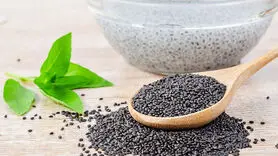 تخم شربتی یا تخم ریحان مناسب ترین انتخاب برای افطاری و سحری