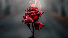 سه مشکل باور نکردنی جنسی که بی سر و صدا می آید