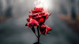 سه مشکل باور نکردنی جنسی که بی سر و صدا می آید