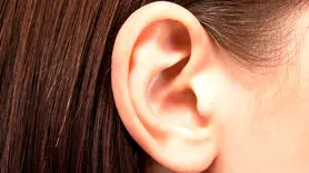 گوش ها غذاها را هم می شنوند! + حقایق جالب و عجیب از گوش 