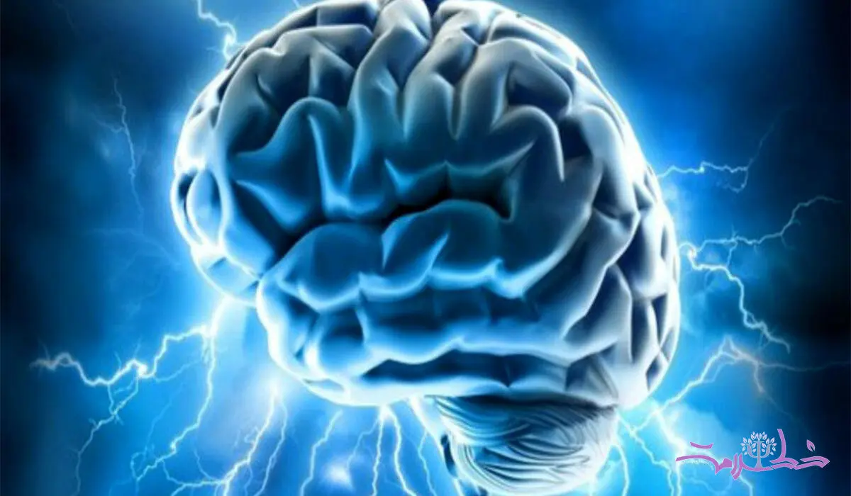 این پژوهش علمی سر در گم تان می کند!