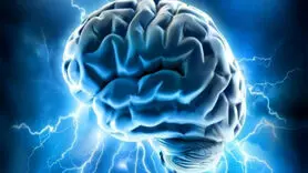 میانبرهایی برای حفظ سلامت مغز