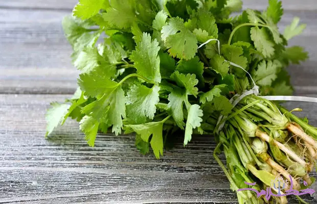 سه غذای ساده و خوش‌عطر با گشنیز؛ از کباب تا سس مخصوص