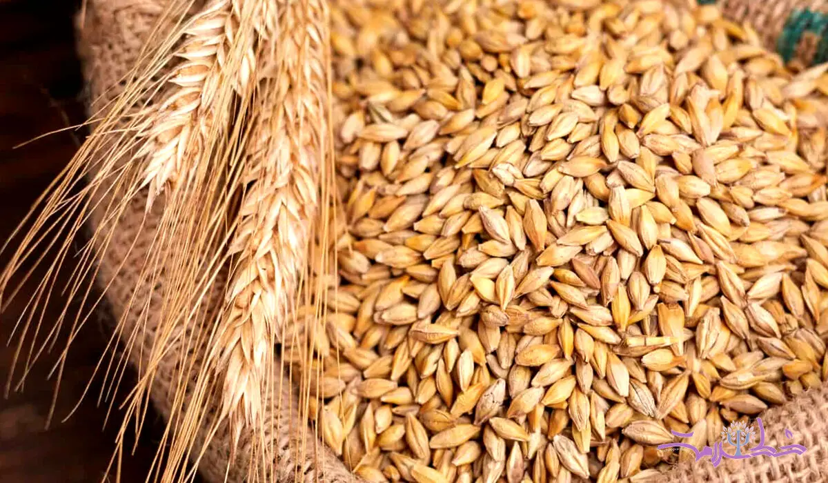 این ماده غذایی ارزان سرشار از منیزیم و فیبر است