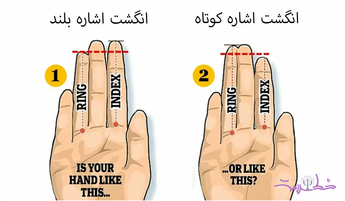 تست شخصیت / از روی اندازه انگشت ویژگی های شخصیت تان را ببینید 