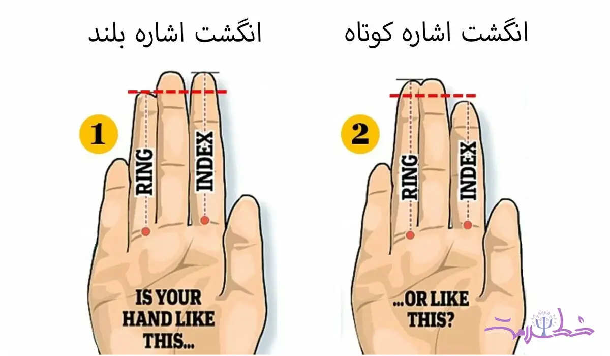 تست شخصیت / از روی اندازه انگشت ویژگی های شخصیت تان را ببینید 