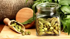 خواص هل سبز برای گوارش، گردش خون و سیستم تنفسی