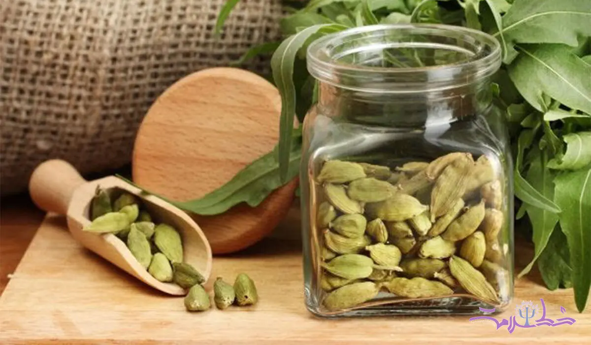 خواص هل سبز برای گوارش، گردش خون و سیستم تنفسی