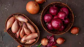  هر رنگ پیاز چه فوایدی دارد؟/تشتباه استفاده نکنید