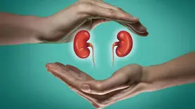 آیا آبلیمو برای کلیه‌ها مضر است یا مفید؟ حقیقتی که باید بدانید!