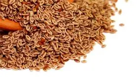 بارهنگ لاغرتان می کند اگر اینگونه مصرف کنید + طرز تهیه دمنوش