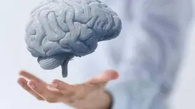 فیلم / چرا بعضی افراد باهوش ترند؟ 