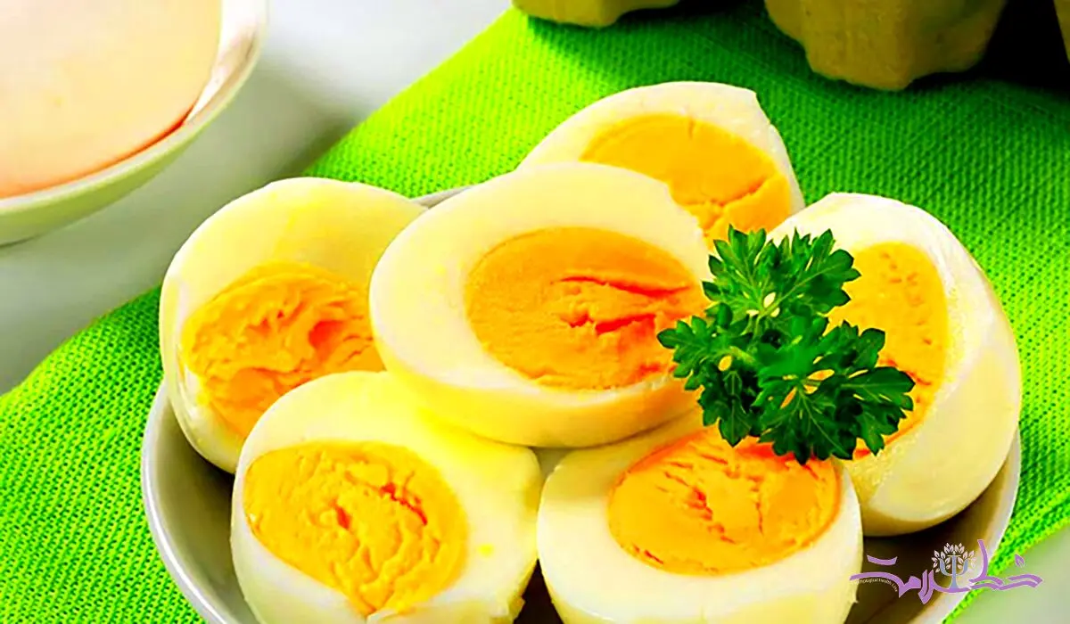 طرز تهیه صبحانه های جذاب آسیایی و اروپایی با تخم مرغ /  فواید شگفت انگیز برای بدن سالم