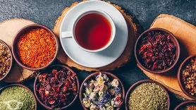 6 چای و دمنوش که درمان دردهایی است که اغلب همه را مبتلا می کند