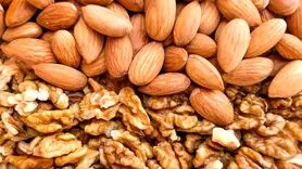 گردو بهتر است یا بادام؟ / کدامیک را بخوریم
