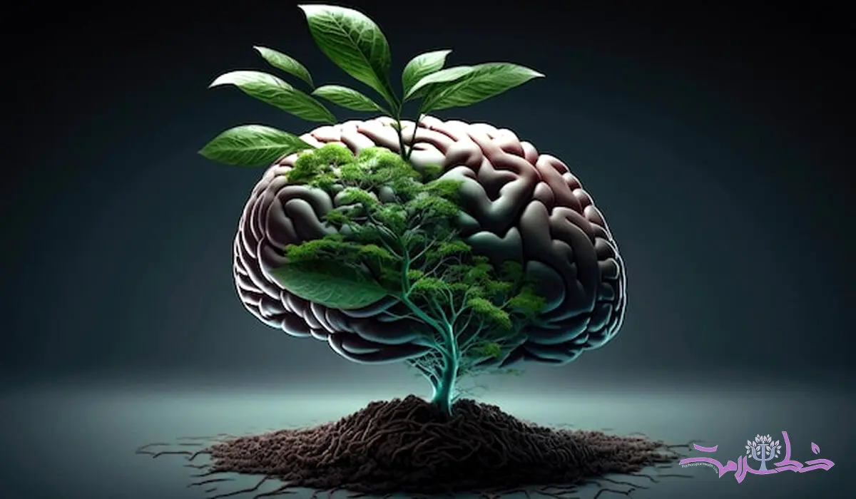 5 گیاه مؤثر برای تقویت حافظه 