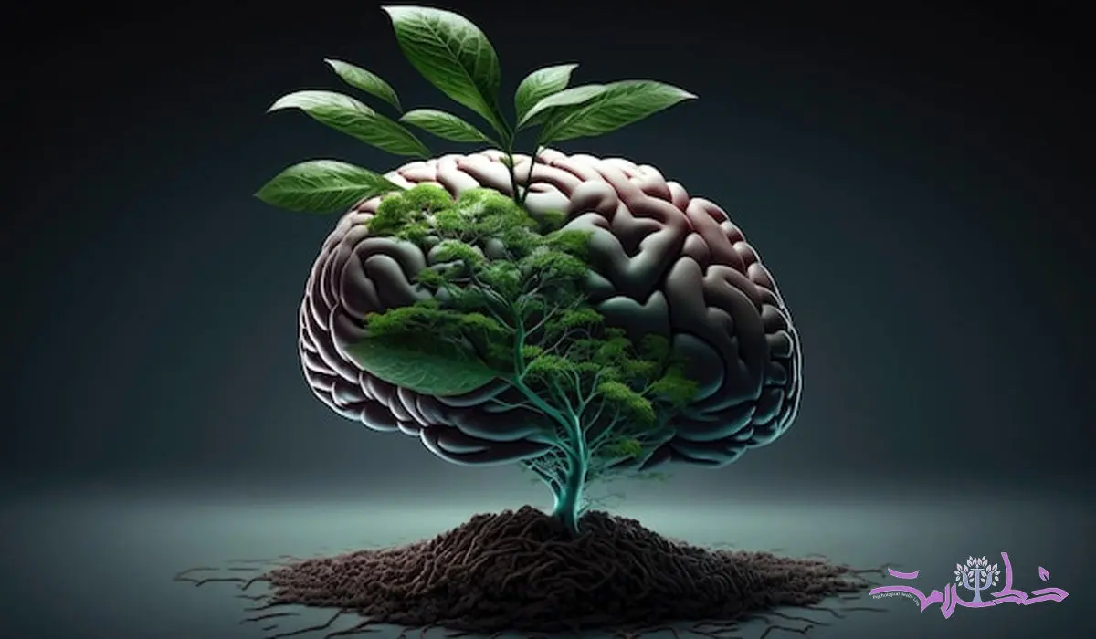5 گیاه مؤثر برای تقویت حافظه 