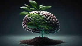 5 گیاه مؤثر برای تقویت حافظه 
