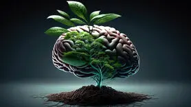 5 گیاه مؤثر برای تقویت حافظه 