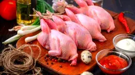 13 خاصیت شگفت انگیز  گوشت بلدرچین + ارزش غذایی گوشت بلدرچین
