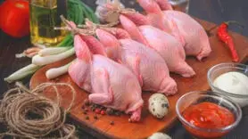 13 خاصیت شگفت انگیز  گوشت بلدرچین + ارزش غذایی گوشت بلدرچین