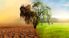 بلای بزرگ خشکسالی بر سلامت روانی جامعه / خطری بزرگ در کمین ایران