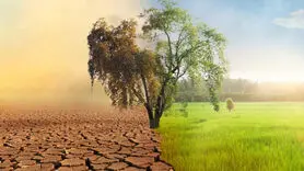 بلای بزرگ خشکسالی بر سلامت روانی جامعه / خطری بزرگ در کمین ایران