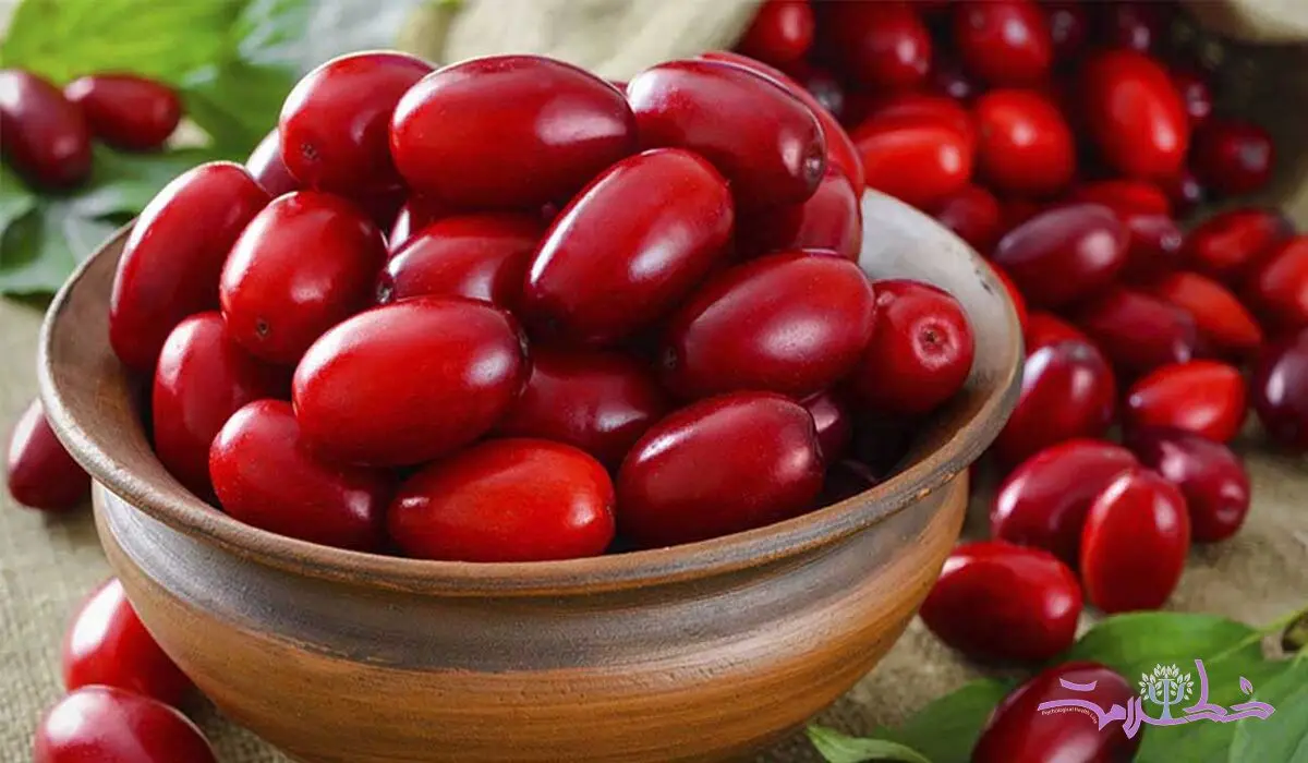 زغال اخته و دردهای قاعدگی واقعیت چیست؟
