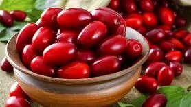 زغال اخته و دردهای قاعدگی واقعیت چیست؟
