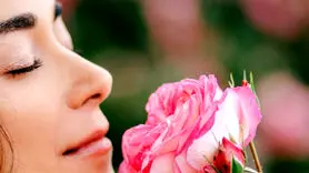 خواص شگفت انگیز گل محمدی برای تقویت حافظه