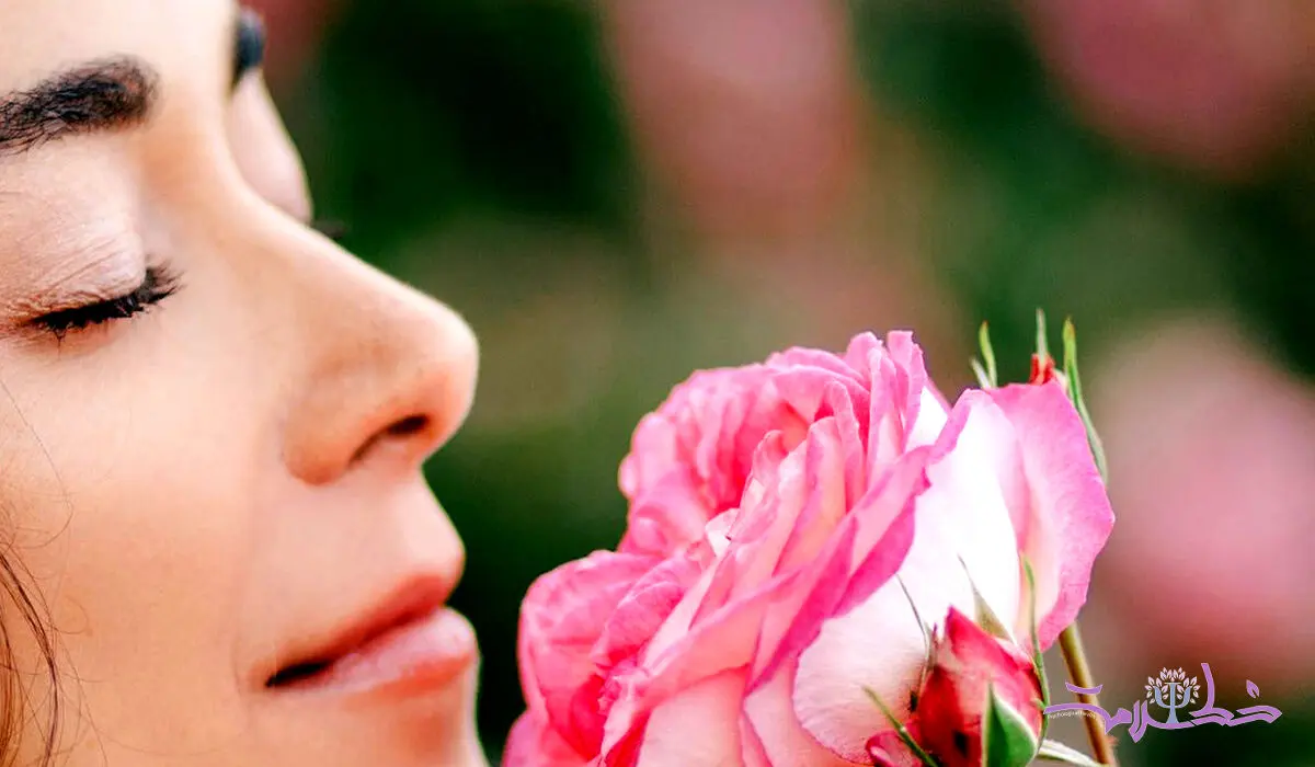 خواص شگفت انگیز گل محمدی برای تقویت حافظه