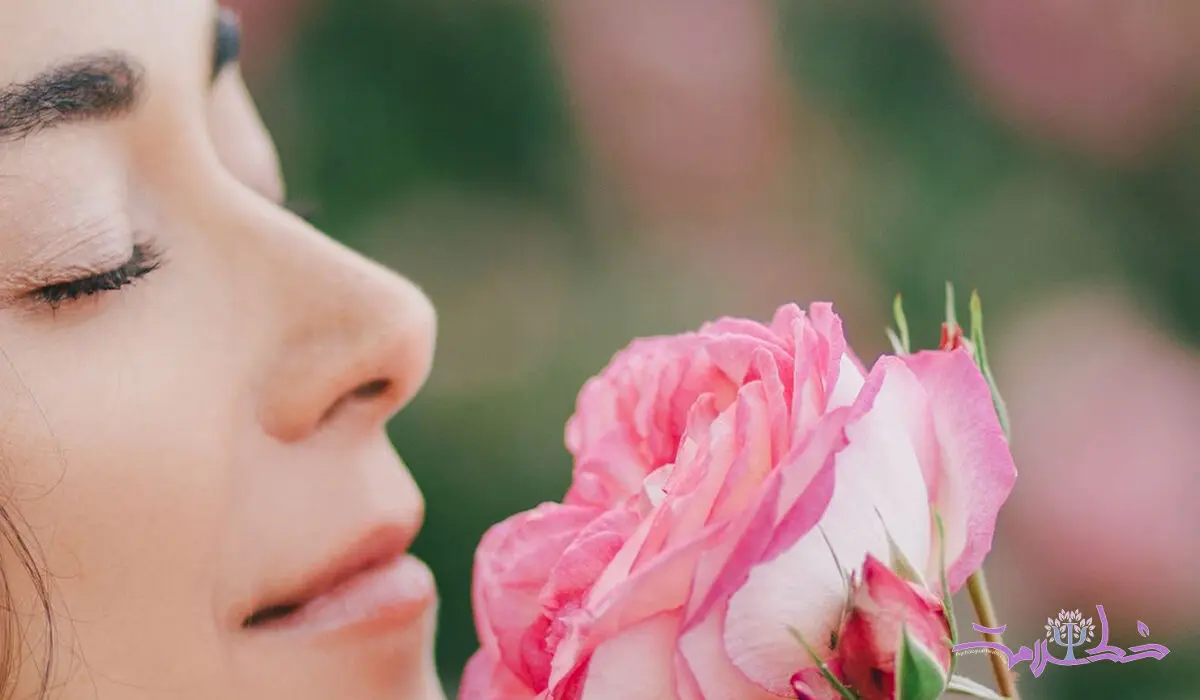 خواص شگفت انگیز گل محمدی برای تقویت حافظه