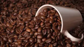 نوشیدن قهوه چه تاثیری در بیماری پارکینسون دارد؟