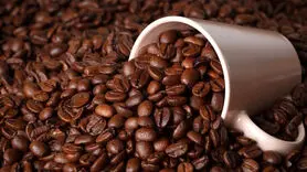 نوشیدن قهوه چه تاثیری در بیماری پارکینسون دارد؟