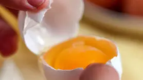 آیا رنگ زرده تخم مرغ با ارزش غذایی و سلامت آن رابطه دارد؟