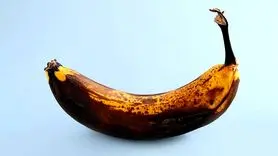 آیا موز رسیده فیبر خود را از دست می‌دهد؟ + تفاوت خواص موز رسیده و نارس