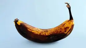 آیا موز رسیده فیبر خود را از دست می‌دهد؟ + تفاوت خواص موز رسیده و نارس