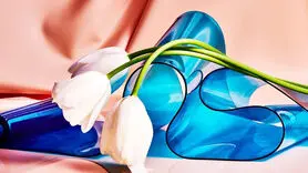 12 دلیل علمی برای داشتن رابطه جنسی بیشتر 