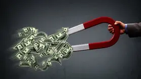 می‌خواهی ثروتمند شوی؟ این نکات را در خانه ات رعایت کن!