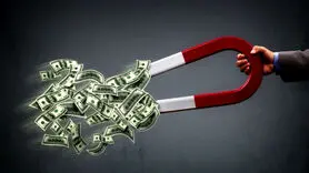 می‌خواهی ثروتمند شوی؟ این نکات را در خانه ات رعایت کن!