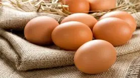 درمان پوکی استخوان با تخم مرغ + میزان مصرف