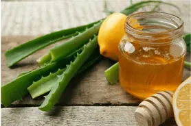 جوانسازی پوست با عسل بهتر است یا آلوئه ورا؟