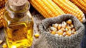 18 خاصیت بی نظیر روغن ذرت 
