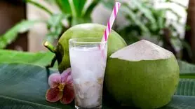 6 فایده آب نارگیل برای تقویت حافظه و مغز