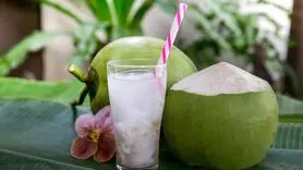 6 فایده آب نارگیل برای تقویت حافظه و مغز