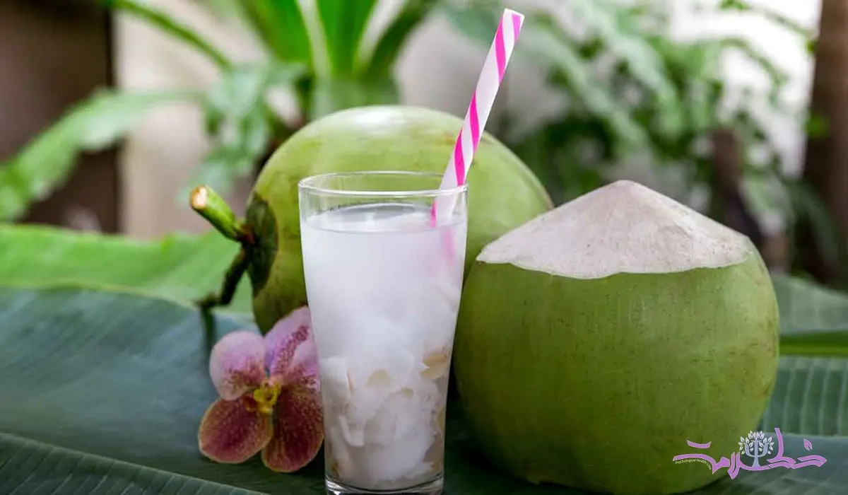 6 فایده آب نارگیل برای تقویت حافظه و مغز